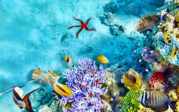 Le vostre opzioni incluse