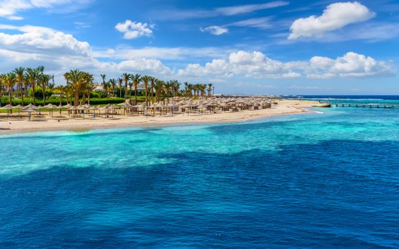 Red Sea Adventure