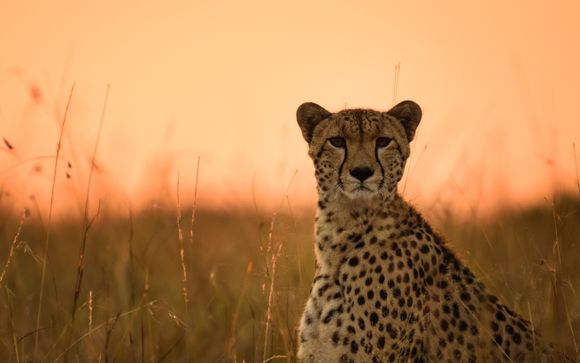 Benvenuti in... Kenya