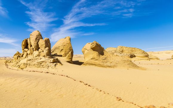 Safari in Quad nel Deserto