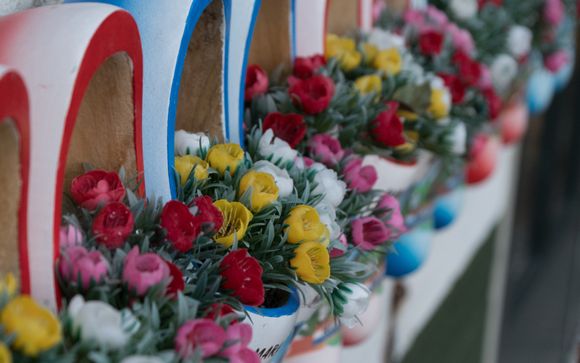 Escursione a Zaanse Schans, Edam, Volendam e Marken inclusa per i soggiorni a partire da 4 notti
