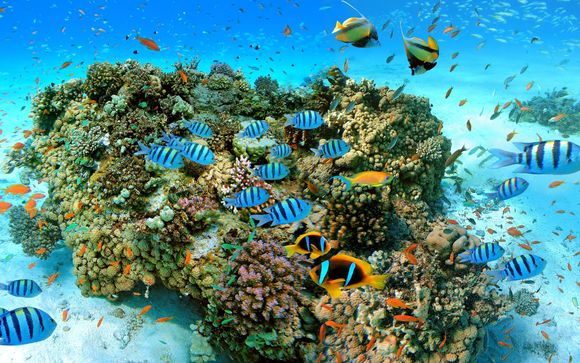 Avventura in snorkeling