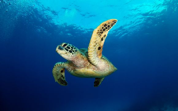 Le tappe del vostro itinerario 