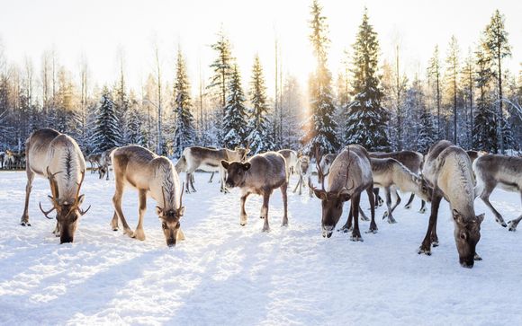 Alla scoperta della Finlandia 