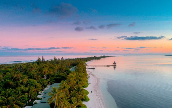 Canareef Resort Maldives 4*