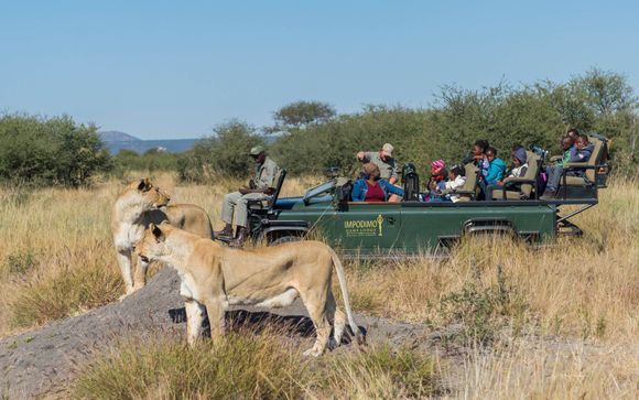 Giorno 2: Johannesburg - Madikwe Game Reserve
