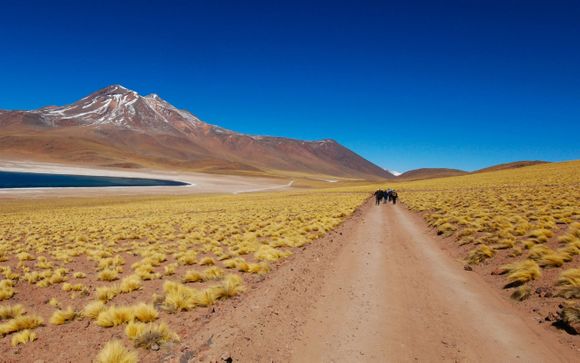 L'anteprima del vostro viaggio