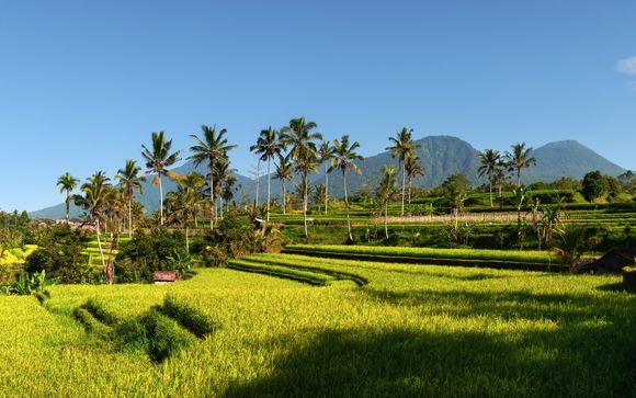 L'anteprima del vostro viaggio