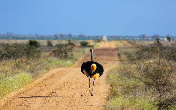 Le tappe del vostro itinerario
