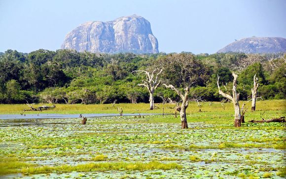 La vostra escursione inclusa