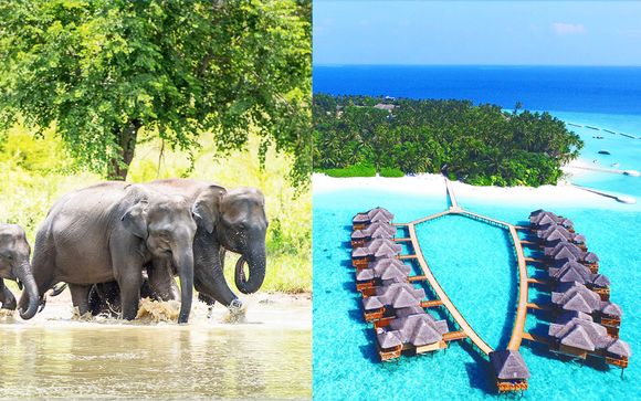 Minitour Sri Lanka & Fihalhohi Island Resort