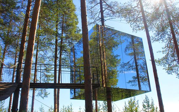 Lapponia al Naturale con pernottamento in casa sull'albero