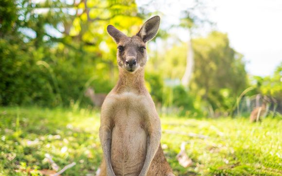 Alla scoperta dell'Australia in hotel 4* in 9 o 14 notti