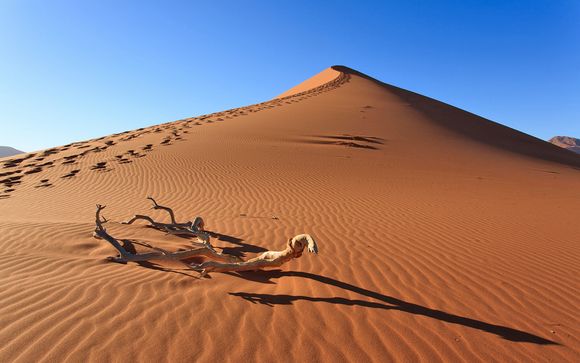 Namibia Fly & Drive - Partenze 2018