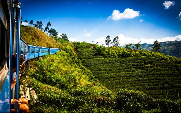 Tour privato dello Sri Lanka con possibile soggiorno a Dubai