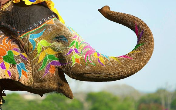 Affascinante tour tra Delhi, Jaipur e Agra in hotel 5*