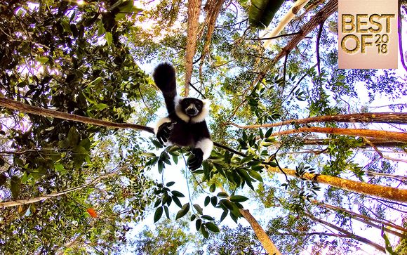 Emozionante tour tra le bellezze del Madagascar