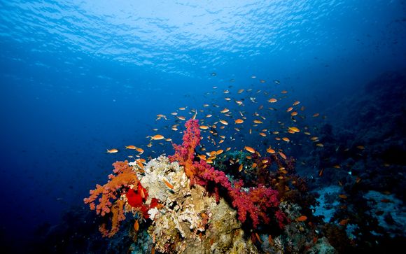Alla scoperta di Sharm El Sheikh