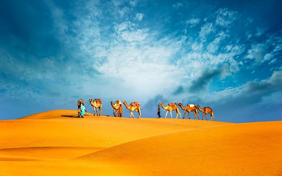 Lusso a 4* con crociera, tour della città e safari nel deserto