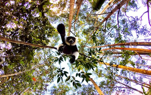 Alla scoperta del Madagascar