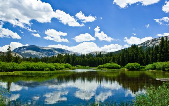 Viaggio nelle terre selvagge del nord in fly and drive