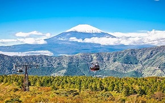 Escursioni e esperienze a Tokyo
