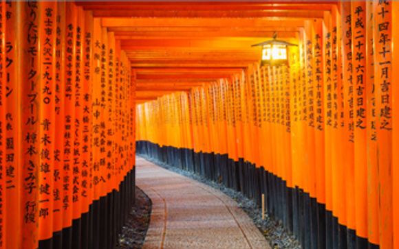 Escursioni e esperienze a Kyoto