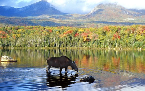 Alla scoperta del Canada