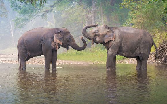 Aggiungi un'opzione al tuo viaggio