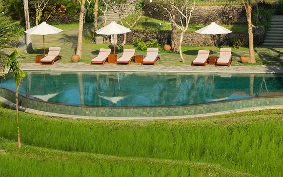 Ubud - Alaya Resort Ubud 5*