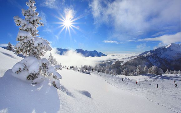 Alla scoperta della Val di Sole