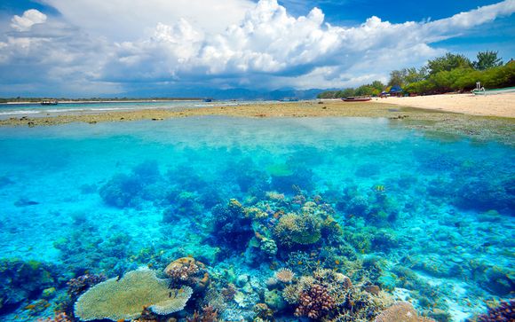 Tour privato Splendori Balinesi con possibile soggiorno a Komodo