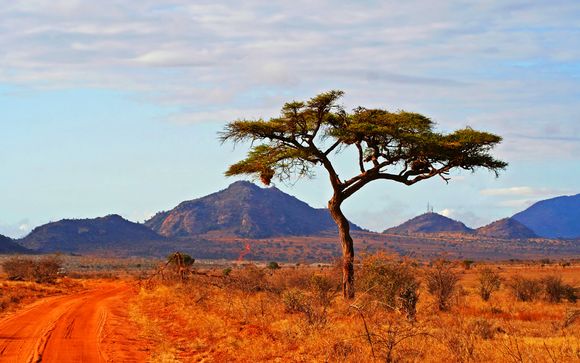 Alla scoperta del Kenya