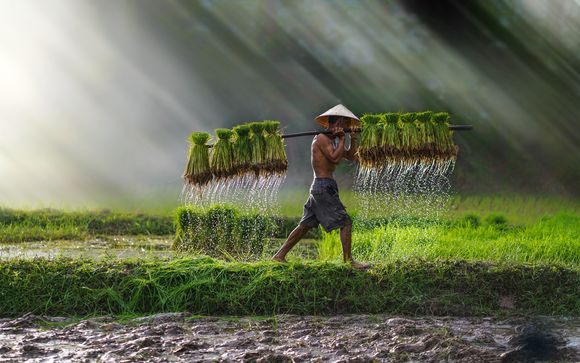 Alla scoperta di Cambogia e Vietnam