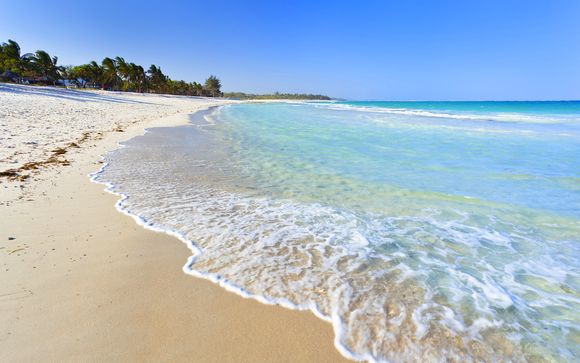 Hotel Amani Tiwi Beach Resort 5* e Safari