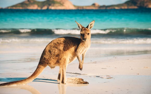 Tour dell'Australia da Melbourne alla costa del Pacifico