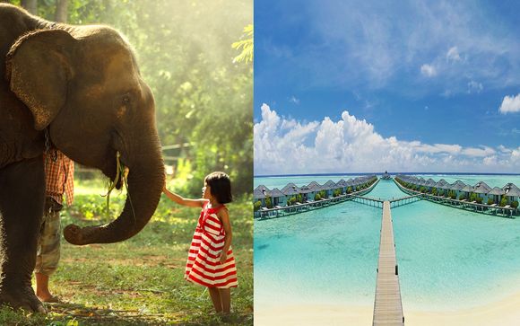 Minitour Sri Lanka + Sun Island Resort & Spa 4*