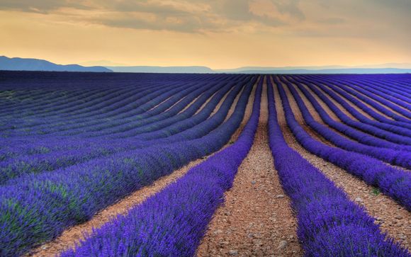 Alla scoperta di Aix-en-Provence