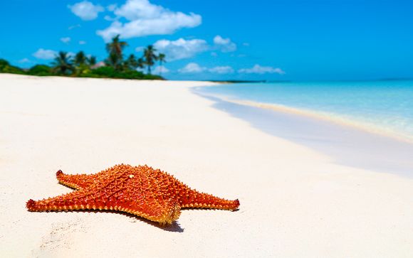L'Avana dai mille colori e la playa All Inclusive di Varadero