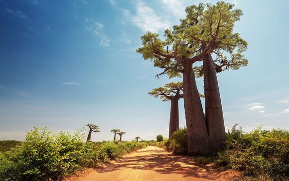 Tour e soggiorno mare nel sud del Madagascar