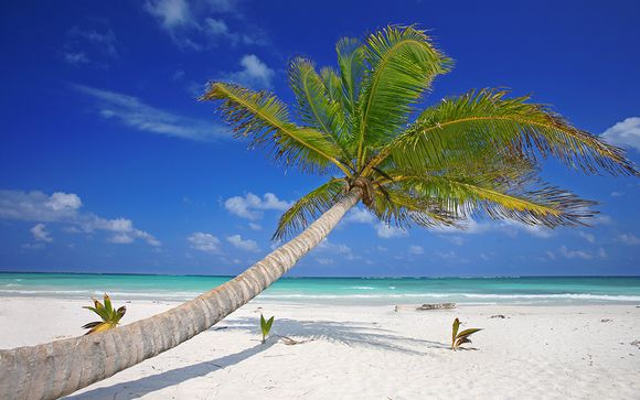 Alla scoperta di New York e Cancun