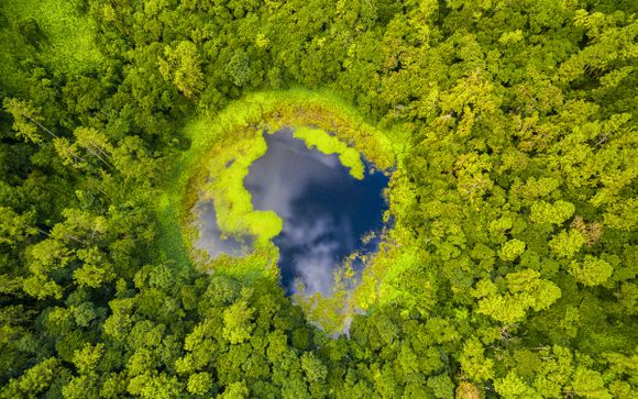 Inbegrepen excursies