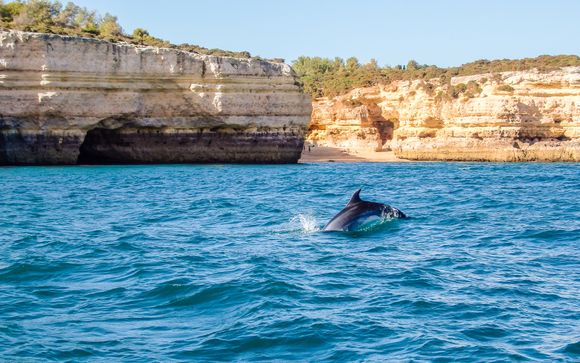 Inbegrepen excursies