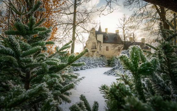 Inbegrepen excursies