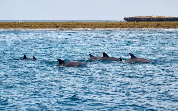 Inbegrepen excursies