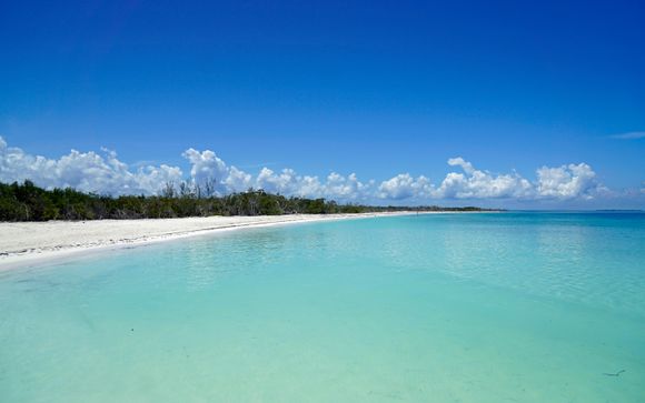 Kies voor extra opties