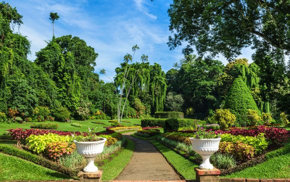 Kies voor extra opties