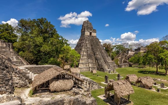 Inbegrepen excursies