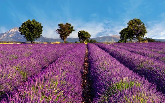 Welkom in ... Mallemort!