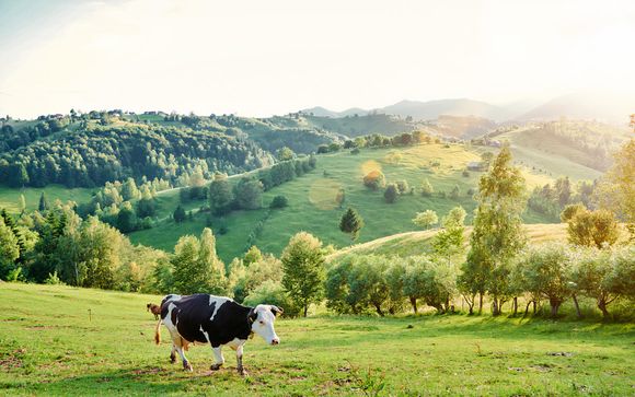 Welkom in... Normandië!